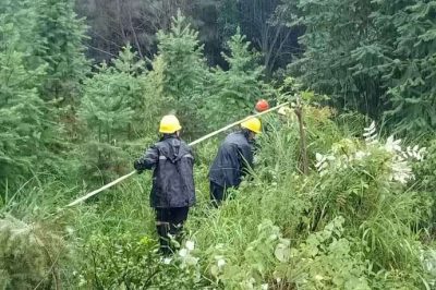 過(guò)泥濘，涉洪水，穿山谷，冒雨巡線護(hù)電，第一時(shí)間處理災(zāi)情險(xiǎn)情