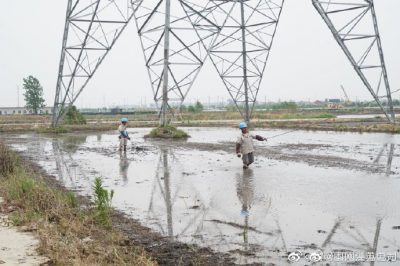 架設(shè)線路、安裝電纜引下線，解決農(nóng)民秸稈焚燒問題