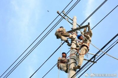 改造鹿灣變10千伏蔣莊105線路，原老舊線路全部更換為240絕緣導(dǎo)線