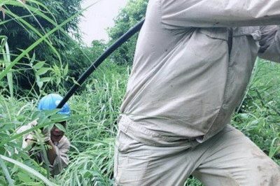 南川區(qū)供電公司緊急搶修被雷擊斷落在路上的10千伏鋒秧線8-10號(hào)桿A、C相