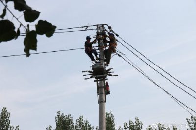 東阿縣供電公司新架設(shè)電桿5基、絕緣導(dǎo)線1000米