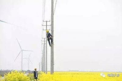 14億人全民通電如何做到的？18根電桿為1戶供電，100年無法回本