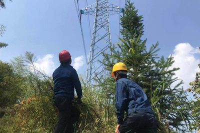 國(guó)網(wǎng)旌德縣供電公司：巡線人的堅(jiān)守