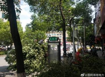 #向配網(wǎng)開戰(zhàn)#風(fēng)景這邊獨(dú)好，砍青掃障