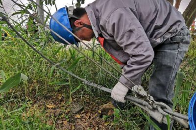 肇事拉線傷、電工搶修忙