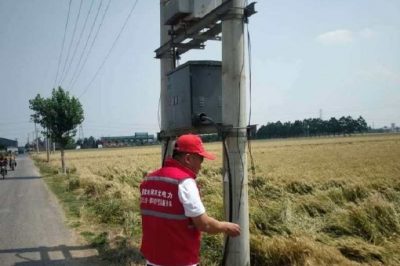 保供電#喜看稻菽千重浪，電力小哥巡視忙 “安全豐收”