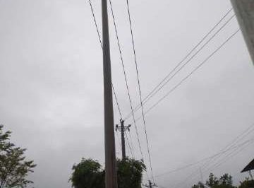 暴雨致電桿歪斜，供電員工搶修扶正