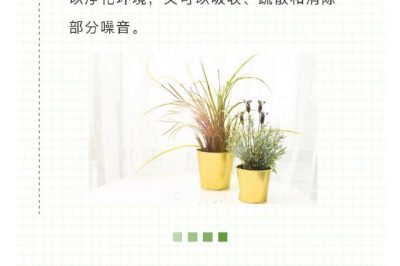 家里冰箱洗衣機噪音越來越大？讓它們安靜下來很簡單！