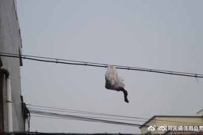 你的隨手一“拋”，可能導致跳閘停電！