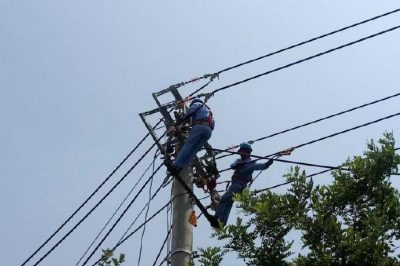電網(wǎng)線路改造忙，迎峰度夏有保障