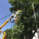 國家電網拍了拍高考生：放心去考試，供電沒問題～