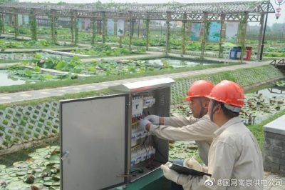 國網(wǎng)南京市江北新區(qū)供電公司安裝變壓器、環(huán)網(wǎng)柜、配電箱等配電設備