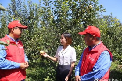 到新華村長嶺山莊，幫助客戶檢查用電設(shè)備