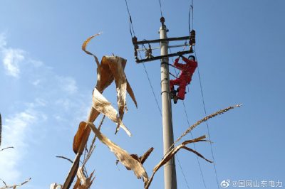 對10千伏春興線海防支線進行清掃、檢修