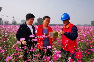 對(duì)玉山店村百畝格?；ㄋ诰€路進(jìn)行全方位的巡視排查