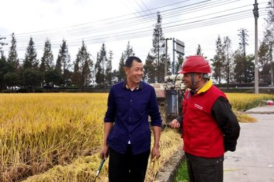 對涉農(nóng)電氣設(shè)備、線路進行特維特巡