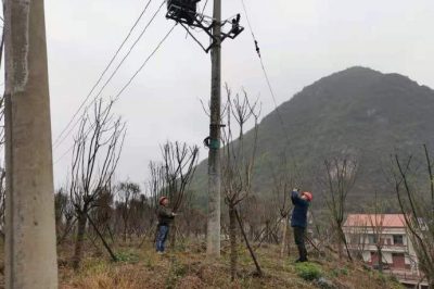 農(nóng)電檢修人員對小石線、高石線等10千伏線路進行集中巡視測溫